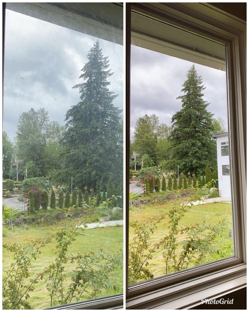 Fensterreinigung mit Gartenblick Vorher/Nachher